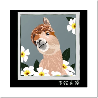 Vicuna Guanaco Llama Breeder Alpaca Posters and Art